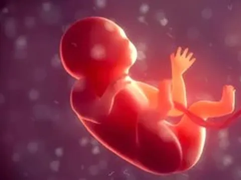 Phát hiện đáng ngại của Trung Quốc về sinh con trong không gian