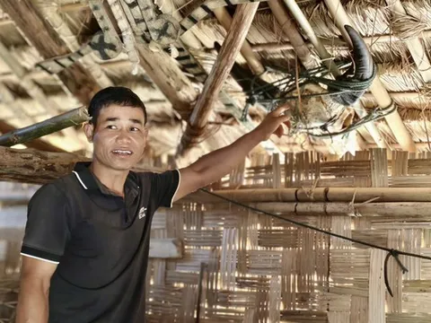 Một phong tục đặc biệt ở đại ngàn Quảng Ngãi