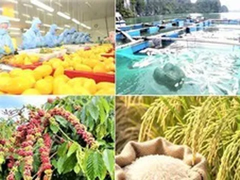 Giảm phát thải: 'Giấy thông hành' cho nông sản xuất khẩu