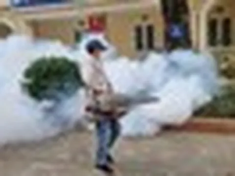 Hà Nội: Sốt xuất huyết tăng mạnh, thêm 3 ổ dịch mới