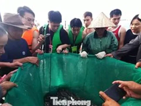 Đà Nẵng: Du khách kéo nhau 'đột nhập' chợ cá lúc rạng sáng