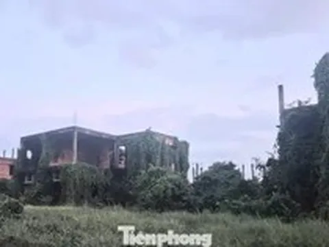 Dự án nghìn tỷ 'đắp chiếu', siêu đô thị thành... vườn sắn