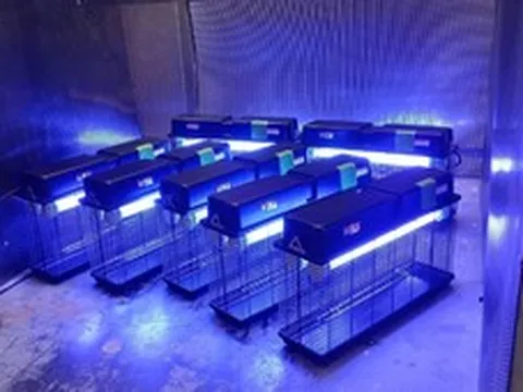 Đèn bắt côn trùng Nion công suất lớn hỗ trợ doanh nghiệp FDI kiểm soát côn trùng