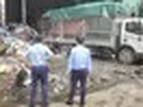 Một doanh nghiệp phải tiêu hủy gần 76.000 hộp bột rau vi phạm