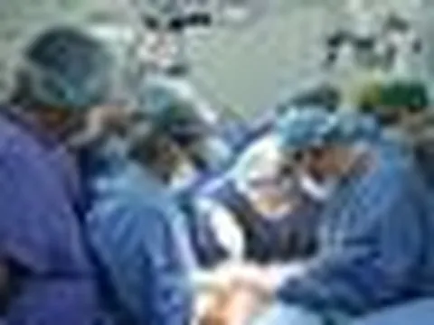 Lần đầu ghép thành công dương vật từ người cho chết não