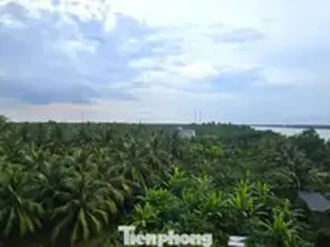 Xem xét trách nhiệm nguyên Phó Chủ tịch tỉnh Bến Tre cũ vì giao đất sai