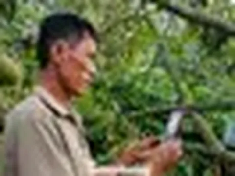 Tiết lộ về 'tờ giấy quyền lực' xuất khẩu sầu riêng