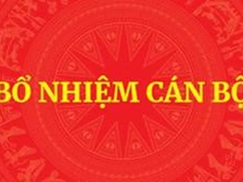 QUY ĐỊNH MỚI: Tiêu chuẩn, điều kiện bổ nhiệm công chức giữ chức vụ lãnh đạo, quản lý
