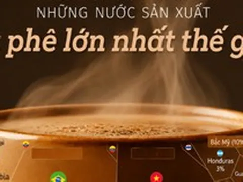 Sản vật tỷ đô giúp Việt Nam trở thành ông trùm của thế giới: chiếm thị phần 18% toàn cầu, diện tích trồng hơn 700.000 ha