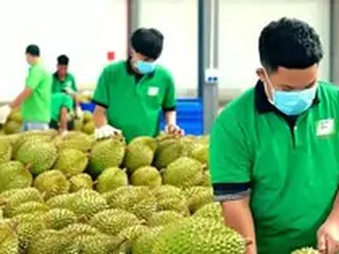 Cấp mã số vùng trồng: Chuyển từ 'xin - cho' sang tự chịu trách nhiệm