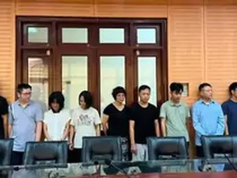 Ngoài rửa tiền cho Mr Pips, Shark Bình đang bị điều tra về 3 tội danh