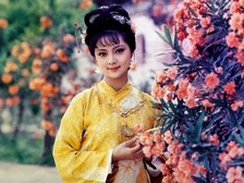 Con đường thành đại gia trăm triệu USD của mỹ nhân 'Hồng lâu mộng'