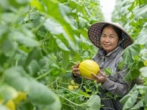 Nâng cao năng lực kinh doanh trực tuyến cho doanh nghiệp do phụ nữ làm chủ