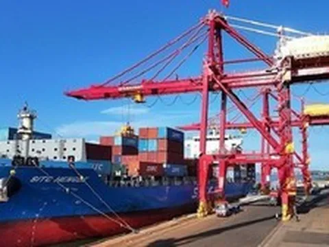 'Cây tỷ đô' của Việt Nam được Trung Quốc, Ấn Độ tích cực đổ tiền mua: Giá tăng 7 tháng liên tiếp, nước ta có diện tích hơn 900.000 ha