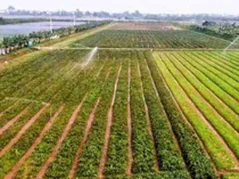 Hà Nội: Xây dựng dữ liệu đất đai đi trước một bước, tạo nền tảng quản trị hiện đại