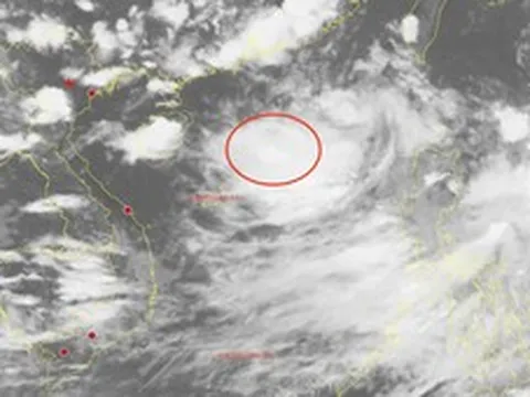Xuất hiện vùng áp thấp trên Biển Đông, Bắc Bộ và Bắc Trung Bộ mưa lớn từ đêm nay