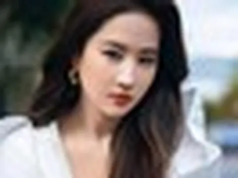 Người cướp chén cơm của Lưu Diệc Phi, Triệu Lệ Dĩnh