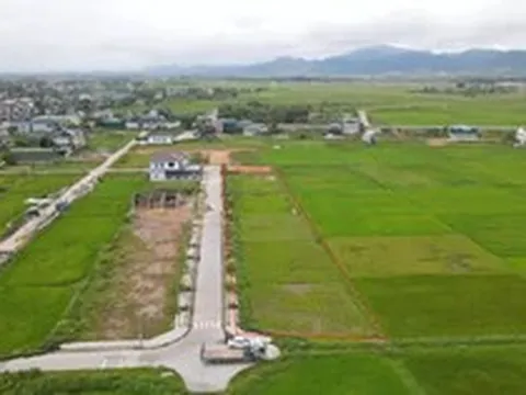 Đất vùng quê có lô giá khởi điểm gần 5 tỷ: 13 lô còn lại không có người đấu