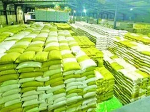 Gạo Việt Nam, Thái Lan bất ngờ bị một đối thủ mới vượt mặt tại Philippines, mới xuất hiện đã được trả giá cao kỷ lục