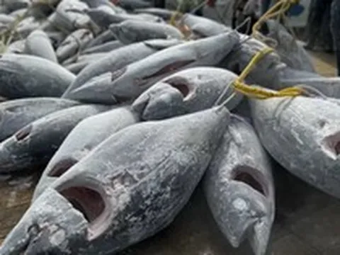 Mỹ báo một tin vui trăm triệu đô đến Việt Nam