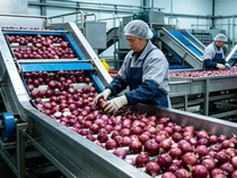 Trung Quốc kỳ vọng 'hái quả ngọt' với mặt hàng Việt Nam đang trồng rất nhiều: Nguồn cung khan hiếm, giá ngày càng đắt đỏ