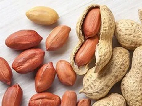 Bé 2 tuổi tím tái sau khi ăn lạc