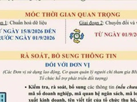Từ 1-9-2026, sử dụng số định danh cá nhân, Căn cước công dân thay thế mã số bảo hiểm xã hội