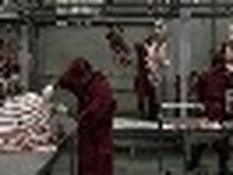 6 tháng, Việt Nam chi gần nửa tỷ USD nhập thịt từ Ấn Độ,  chủ yếu là thịt trâu đông lạnh