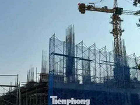 Giá căn hộ ở TPHCM giảm mạnh sau sáp nhập