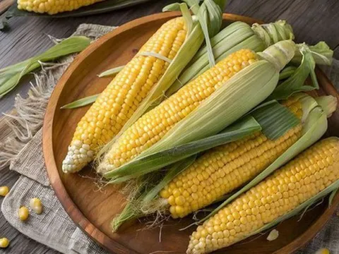 Phần bổ dưỡng của bắp ngô, nhiều người không biết lại bỏ đi