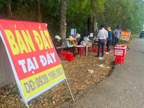 260.000 ‘cò đất’, môi giới tự do đang hành nghề trái luật?