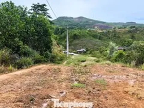 Kiểm điểm nhiều cá nhân, tập thể vụ khu tái định cư có 30/44 lô đất không thể làm nhà