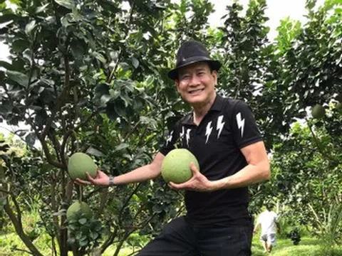 Danh ca Tuấn Vũ U70 mê làm vườn ở Mỹ, MC Hoàng Oanh hút hồn ở tuổi 36