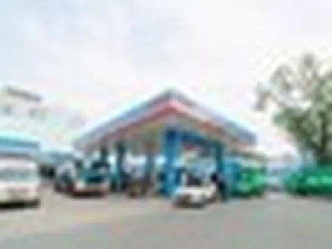 Hơn 1.000 cây xăng PVOIL sẽ thu gom dầu ăn đã qua sử dụng