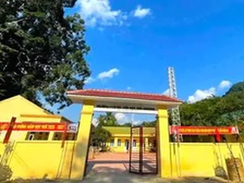 Bổ nhiệm hiệu trưởng gây xôn xao ở Nghệ An: Rà soát lại quy trình, hồ sơ cán bộ