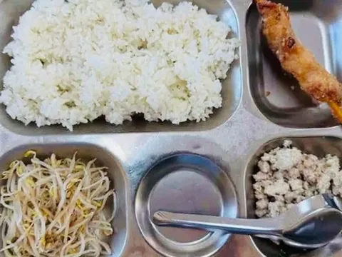 Suất ăn bán trú 40.000 đồng "lèo tèo" giá đỗ, thịt băm: Hà Nội yêu cầu làm rõ