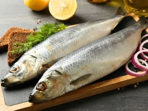 Loại cá tốt trên thế giới ở Việt Nam đang vào mùa giá rẻ bèo, thịt chắc, giàu omega-3 hơn cá hồi giúp trẻ thông minh