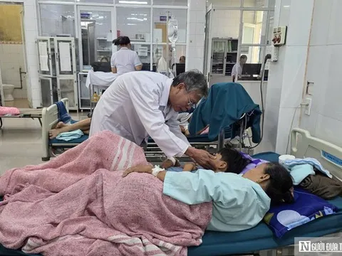 Ngộ độc bánh mỳ khiến nhiều người nhập viện: Thách thức trong khoảng trống quản lý cơ sở