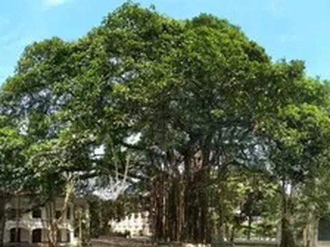 Báo Nhân Dân ra mắt không gian nghệ thuật cộng đồng với chương trình âm nhạc “Tán Đa”