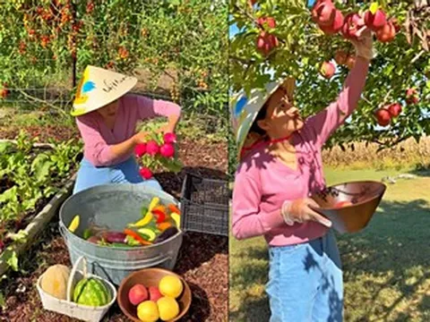 Sang Mỹ định cư, 9X Đà Nẵng làm vườn rau củ Việt để đỡ nhớ quê nhà