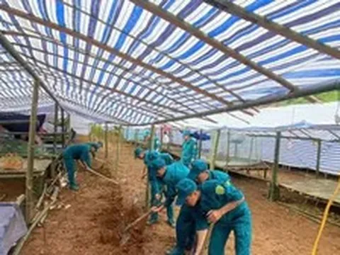 Lâm Đồng: Công bố tình huống khẩn cấp về thiên tai tại thôn Đắk Snao