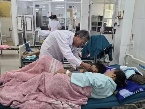 Vụ ngộ độc thực phẩm ở Quảng Trị: Phát hiện Salmonella trong chả bò, chả cá, rau, thịt rim