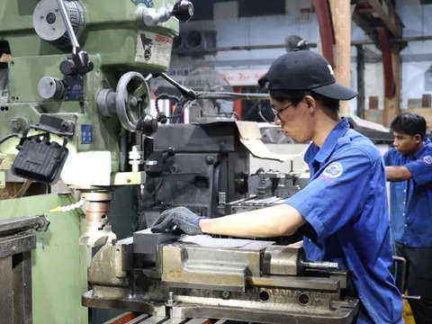 TP.HCM: Nhiều trường nghề mất tên, người học có bị ảnh hưởng?