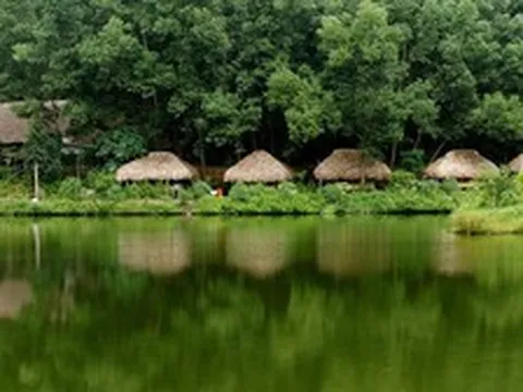 Việt Nam có 1 ngôi làng gần 200 người "ăn chung nồi cơm, tiêu chung túi tiền": Xanh mát như ốc đảo, được công nhận "Làng du lịch tốt nhất thế giới"