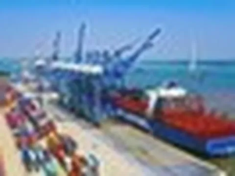 Hàng chục nghìn tấn hàng của Việt Nam được quốc gia láng giềng đổ tiền mua: 1/3 thế giới ưa chuộng, nước ta có diện tích trồng hơn 900.000ha