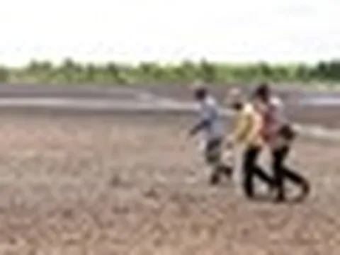 Hàn Quốc đầu tư nhà máy 5 tỷ USD ngay tại láng giềng Việt Nam: Chế biến loại nông sản được mệnh danh ‘vàng treo trên cây’, Việt Nam đang xuất khẩu đứng đầu thế giới