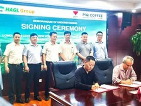 Bầu Đức đích thân sang ký bán 1.000 tấn cà phê ngay năm nay, nâng lên 5.000 tấn tại 1 thị trường tiêu thụ gần 1.000 tấn/ngày
