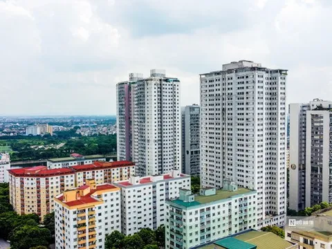 Chính phủ giao chỉ tiêu phát triển 899.857 căn nhà ở xã hội, nhà ở cho thuê cho các địa phương