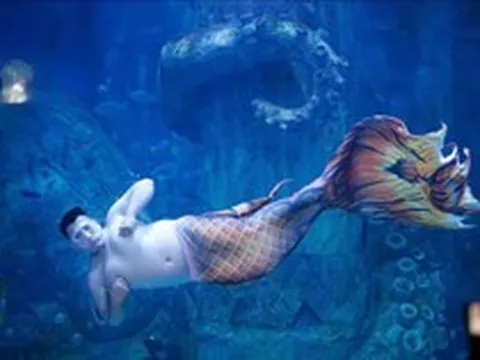 "Nàng tiên cá” đặc biệt nặng đến 110kg, có sở thích lắc lư chiếc bụng mỡ