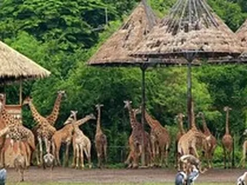 Sở Tài chính Hà Nội nói về dự án Safari Ba Vì